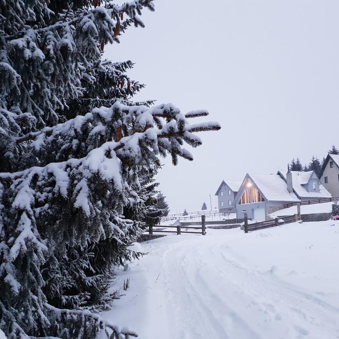Home Belic Golija Radaljica Buitenkant foto