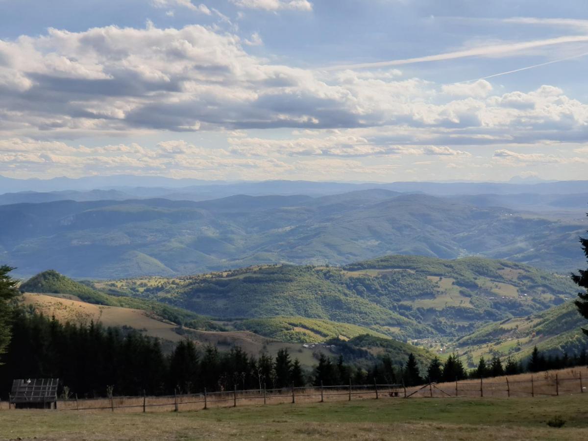 Home Belic Golija Radaljica Buitenkant foto