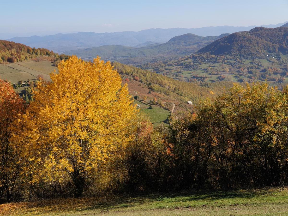 Home Belic Golija Radaljica Buitenkant foto