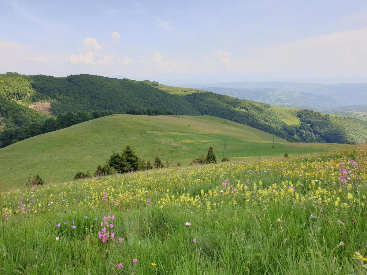 Home Belic Golija Radaljica Buitenkant foto